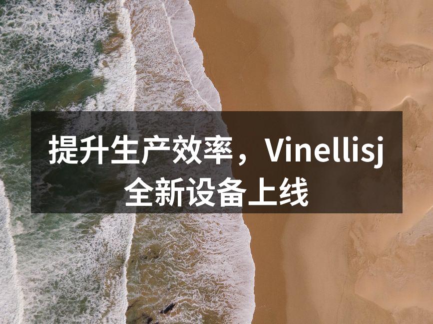 提升生产效率，Vinellisj全新设备上线